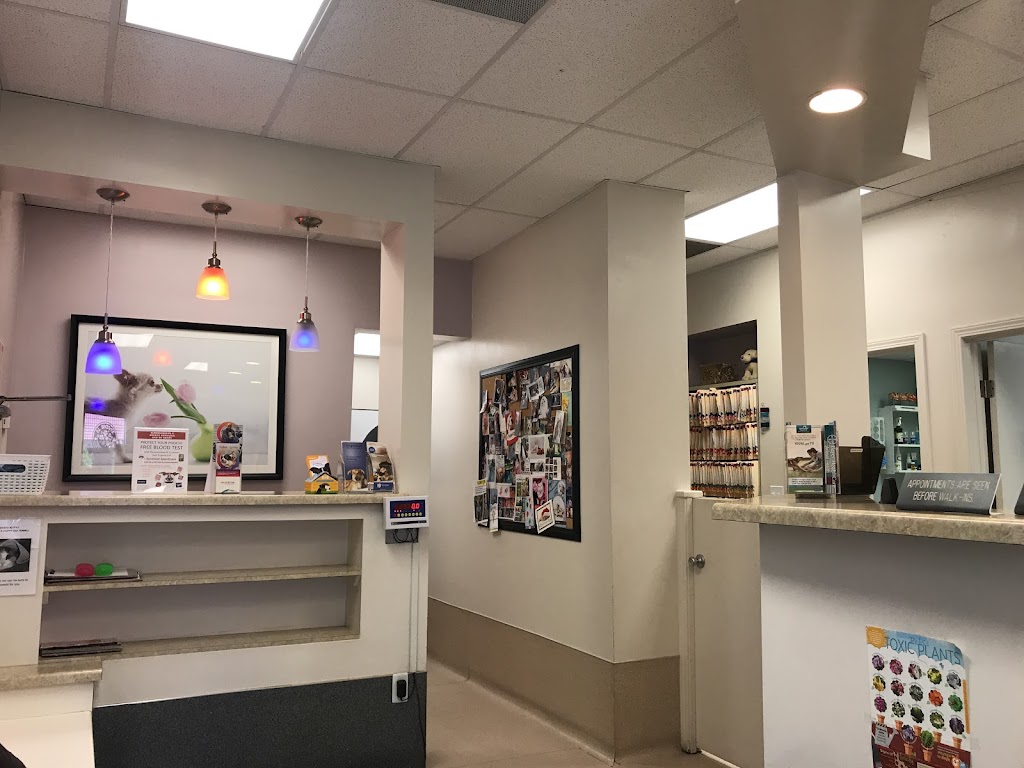 El Monte Dog & Cat Hospital en El Monte