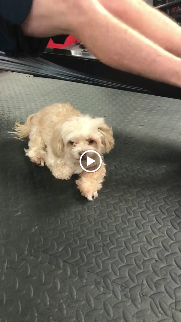  NC Fitness - Personal Training