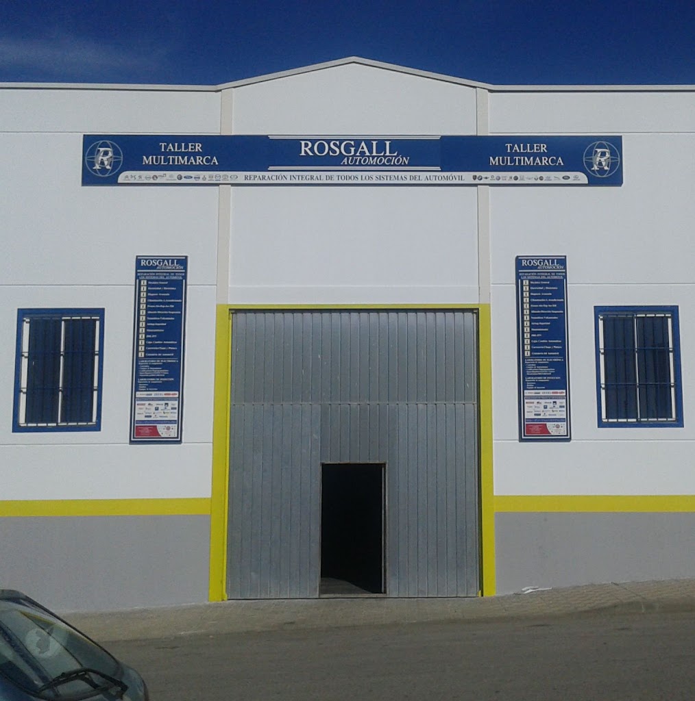 ROSGALL AUTOMOCION — Del propietario
