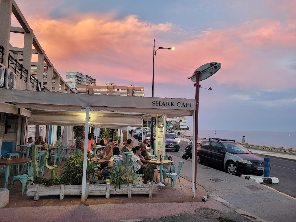 SHARK CAFE