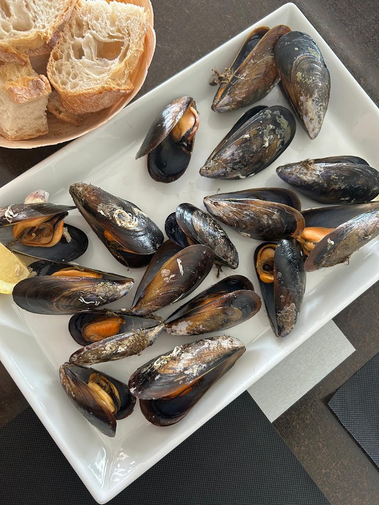 Taberna Cata — Mytiloida