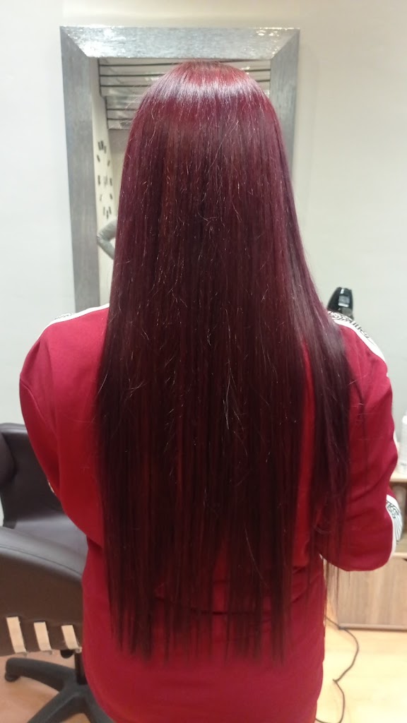 Venus Peluqueria y Estetica — Peinado