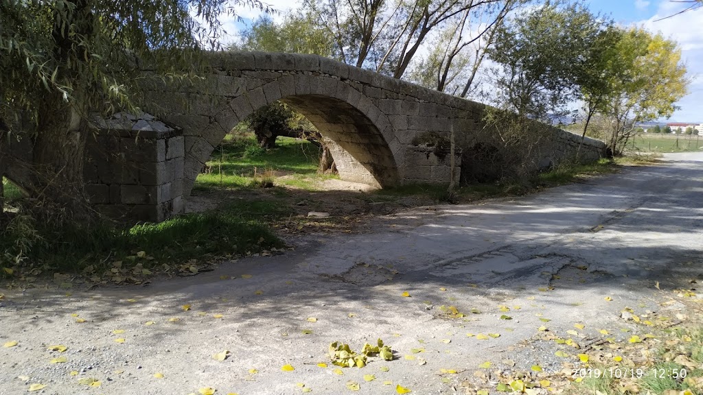 Residencia Canina y Equina Babieca