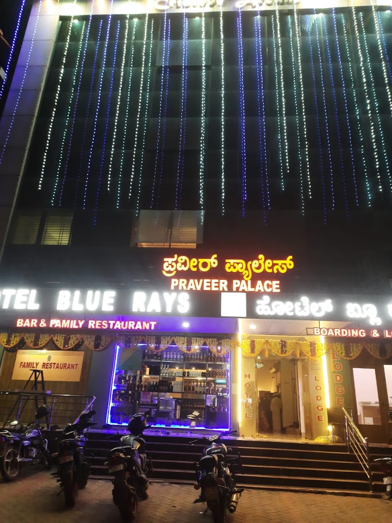 Praveer Palace Hotel Blue Rays