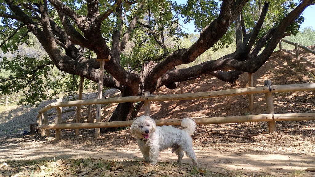 Fuente de Can Canals