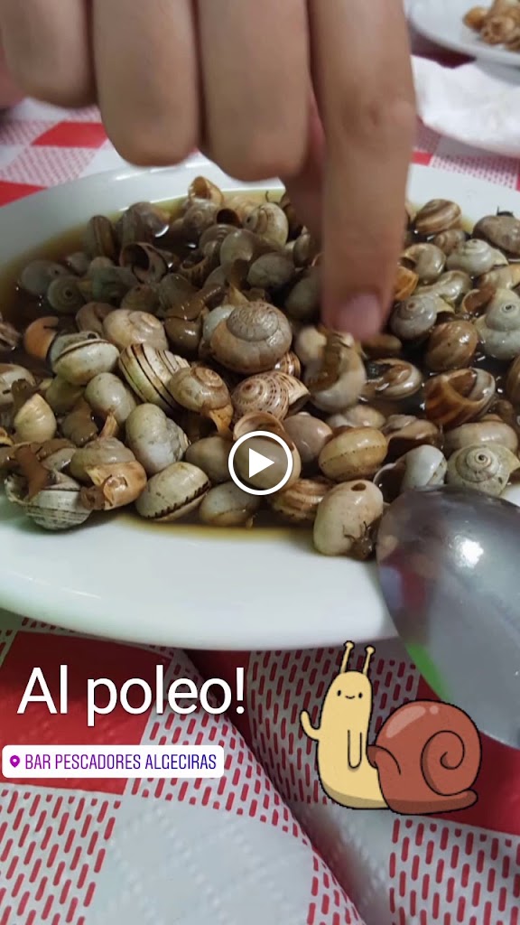 Bar Pescadores — Videos