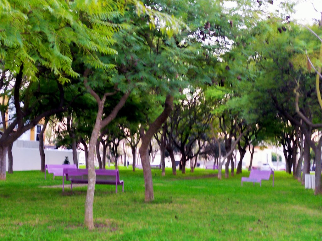 Bosque Violeta
