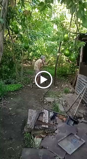 Taller Fran — Videos