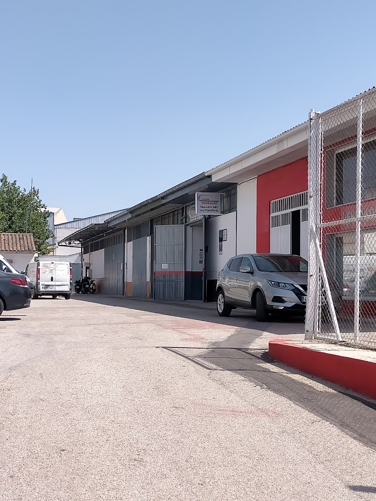 Juan Gonzalez Taller del Automovil — Del propietario
