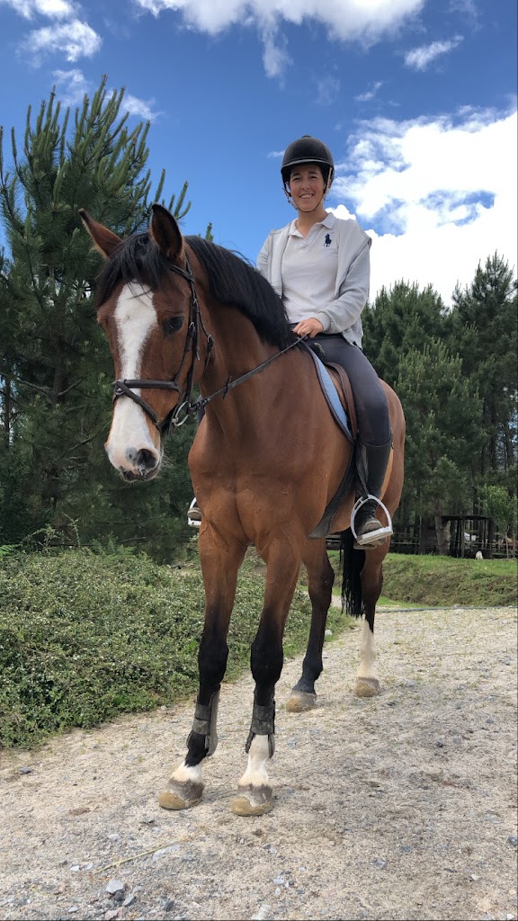 Equigalia Centro Ecuestre — Caballo