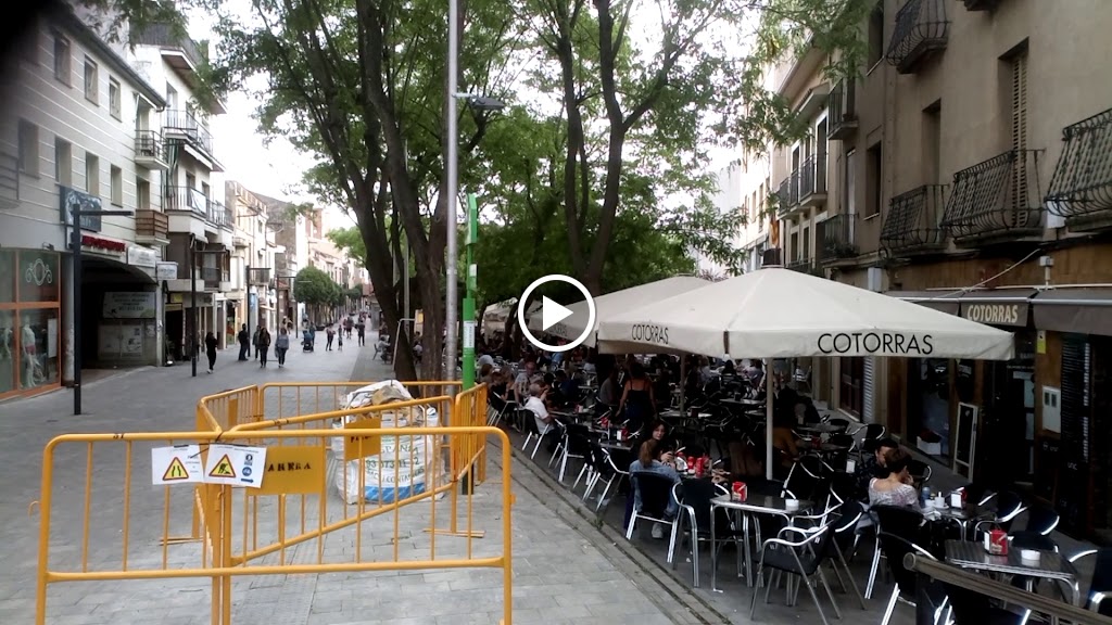 Cotorras — Ambiente