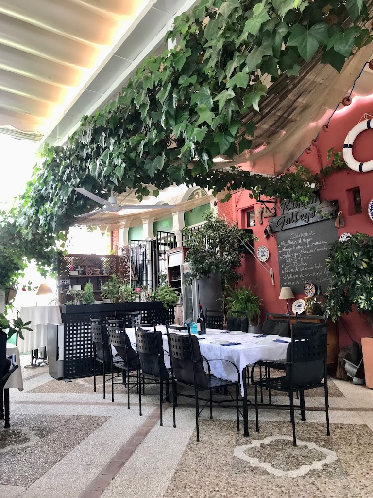 Restaurante Rincon Gallego Egabrense — Ambiente