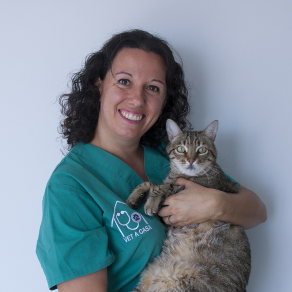 VET A CASA - Veterinaria a domicili