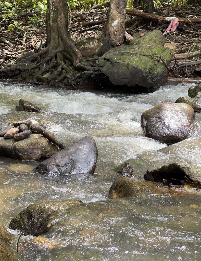 Ulu Paip Recreational Forest