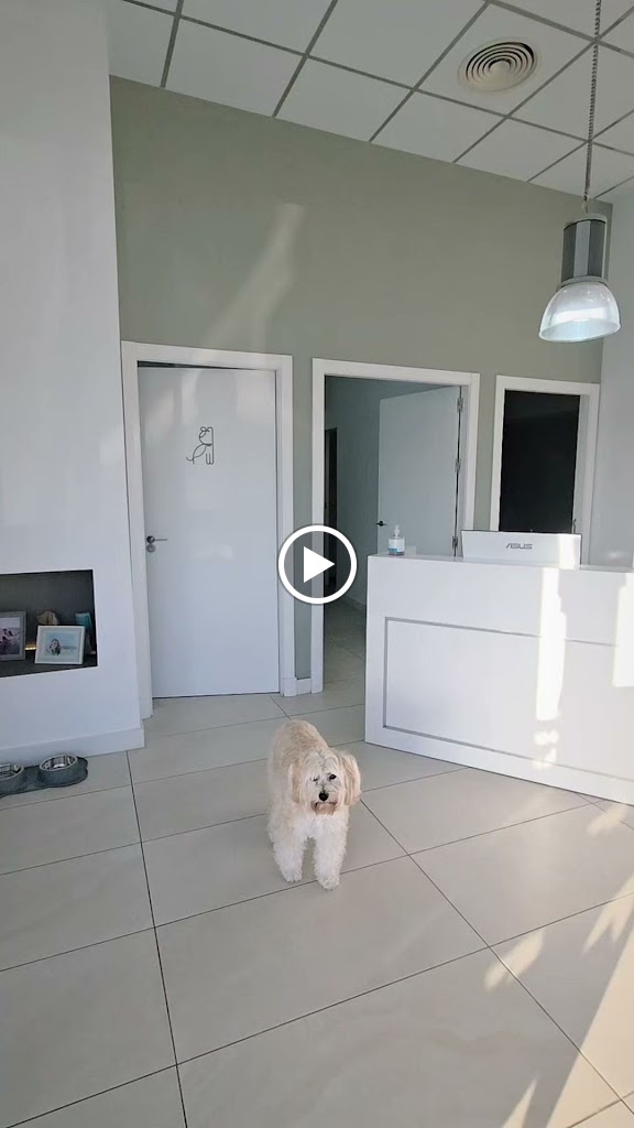 Clinica Veterinaria del Mar — Del propietario