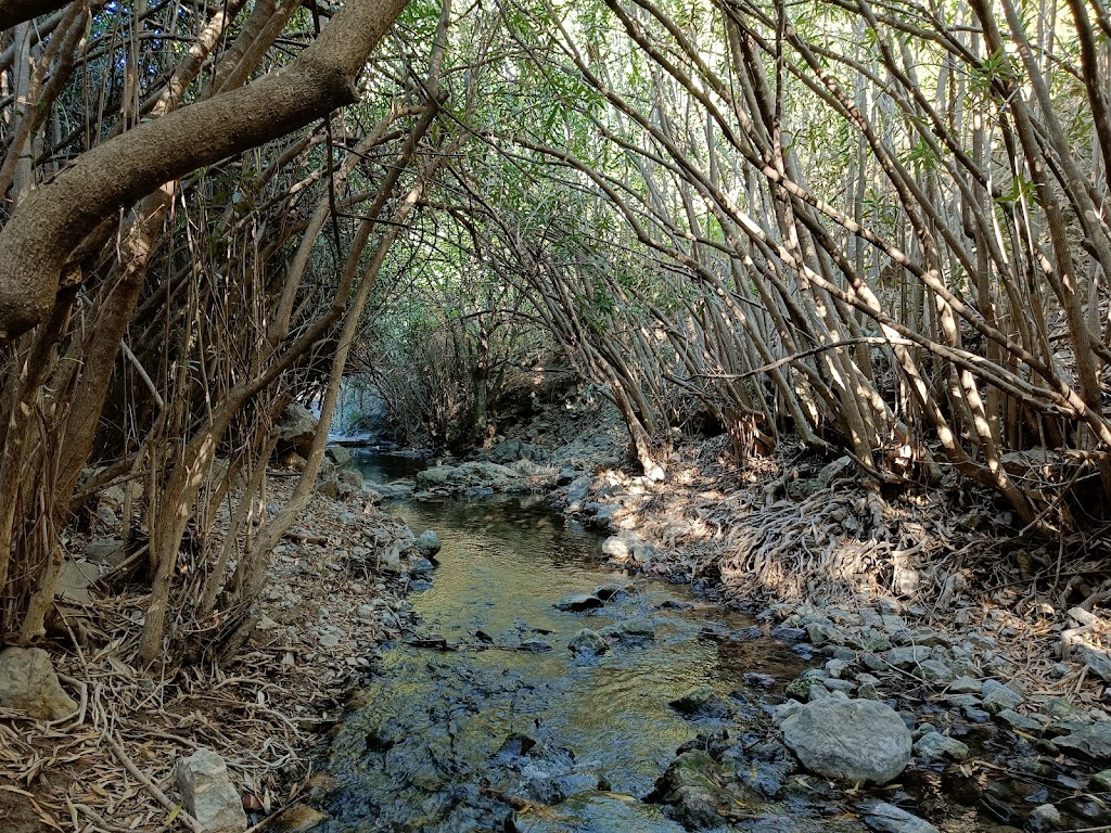 Sendero Adelfal de Cuadros