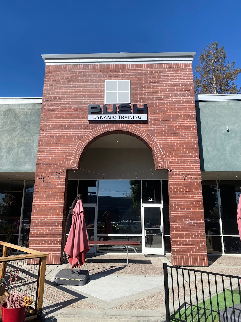  Push Dynamic Training