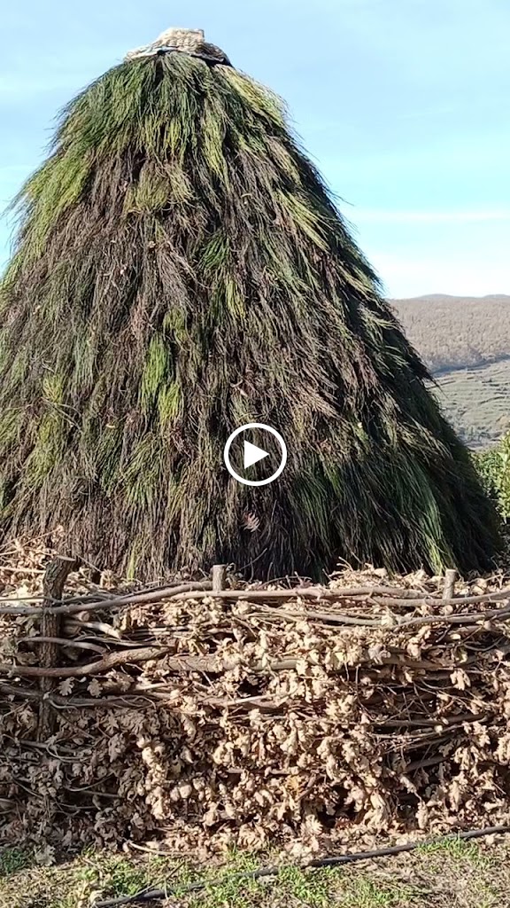 Barrado — Videos