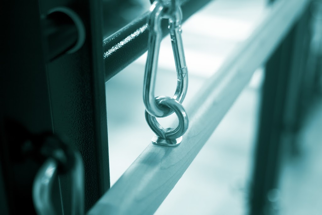  Pilates Mastery | Healing for Horse and Human: Private Pilates, Equine Bodywork and Horse Speak