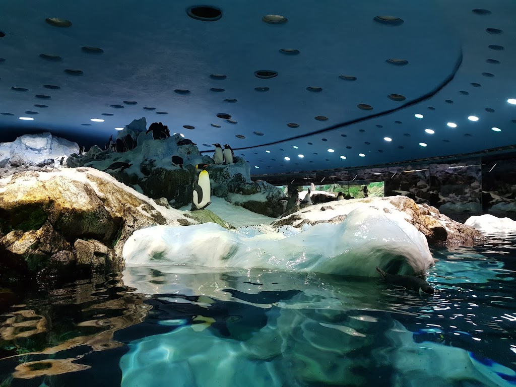 Loro Park Museo de Porcelana