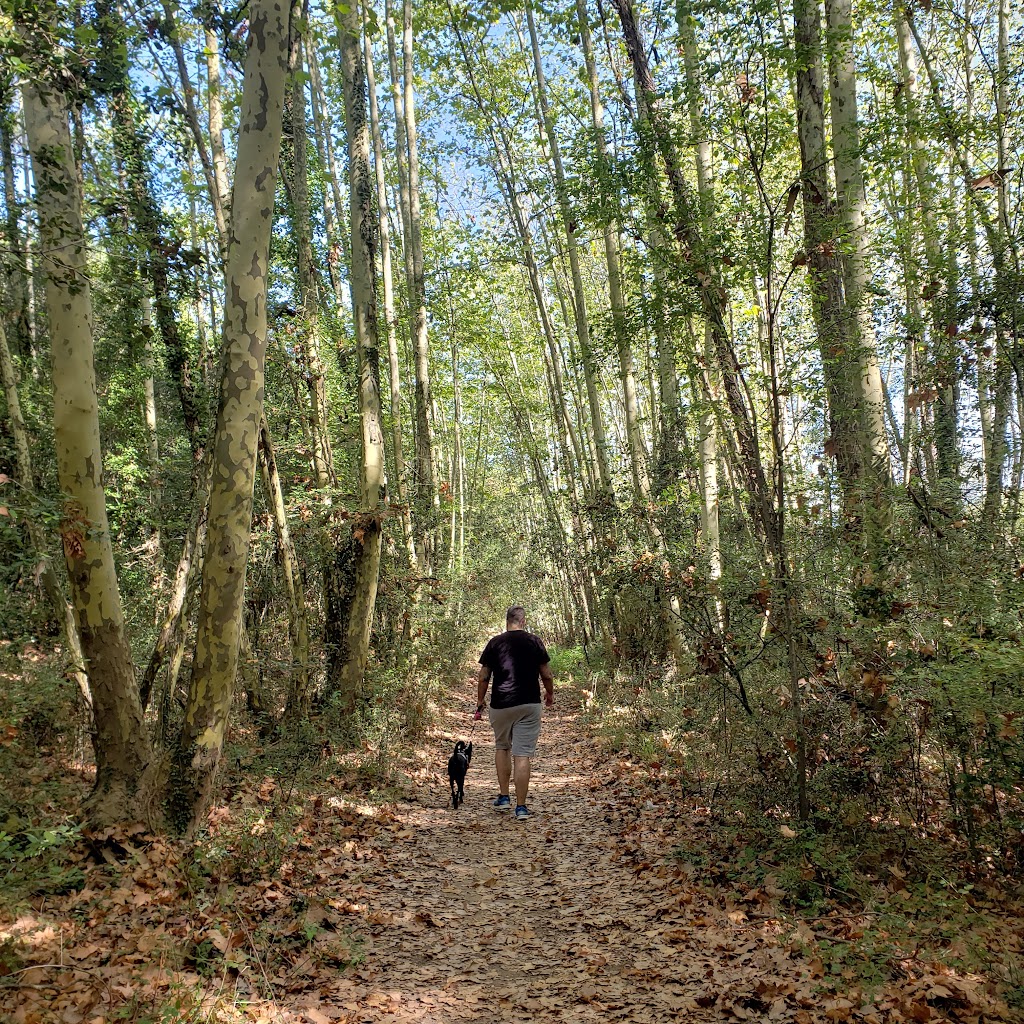 Parque del Montnegre y el Corredor - Valle de Olzinelles