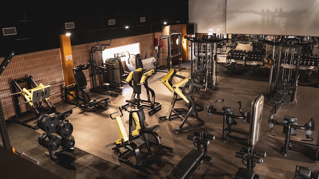 ArtGym Sport Gallery San Lorenzo