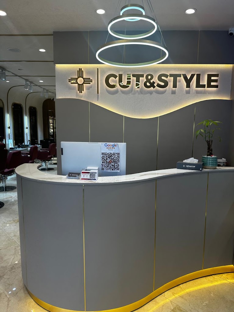 Cut Style Salon Naraina New Delhi