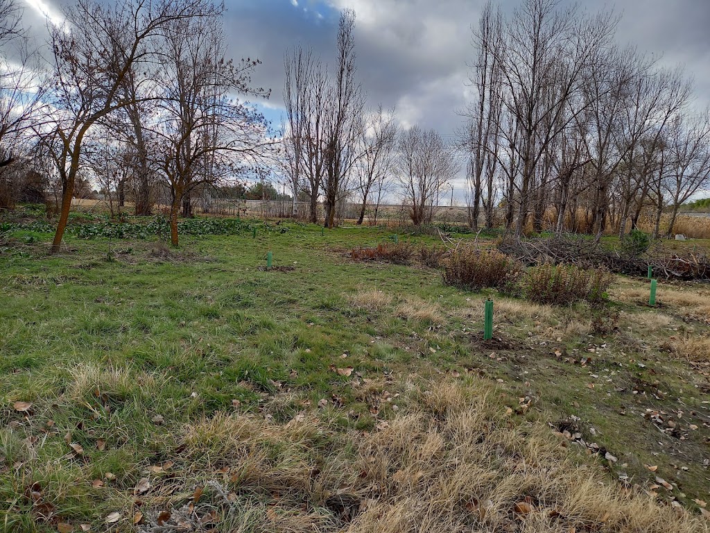Parque lineal del Culebro (Pinto este)