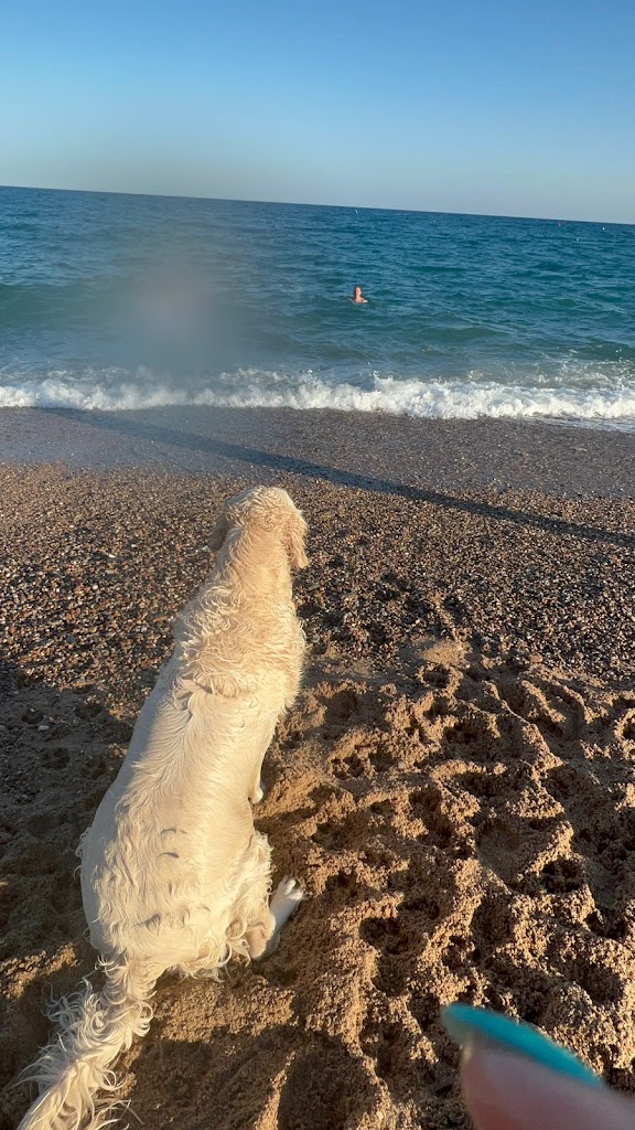 Platja per a gossos Malgrat de Mar