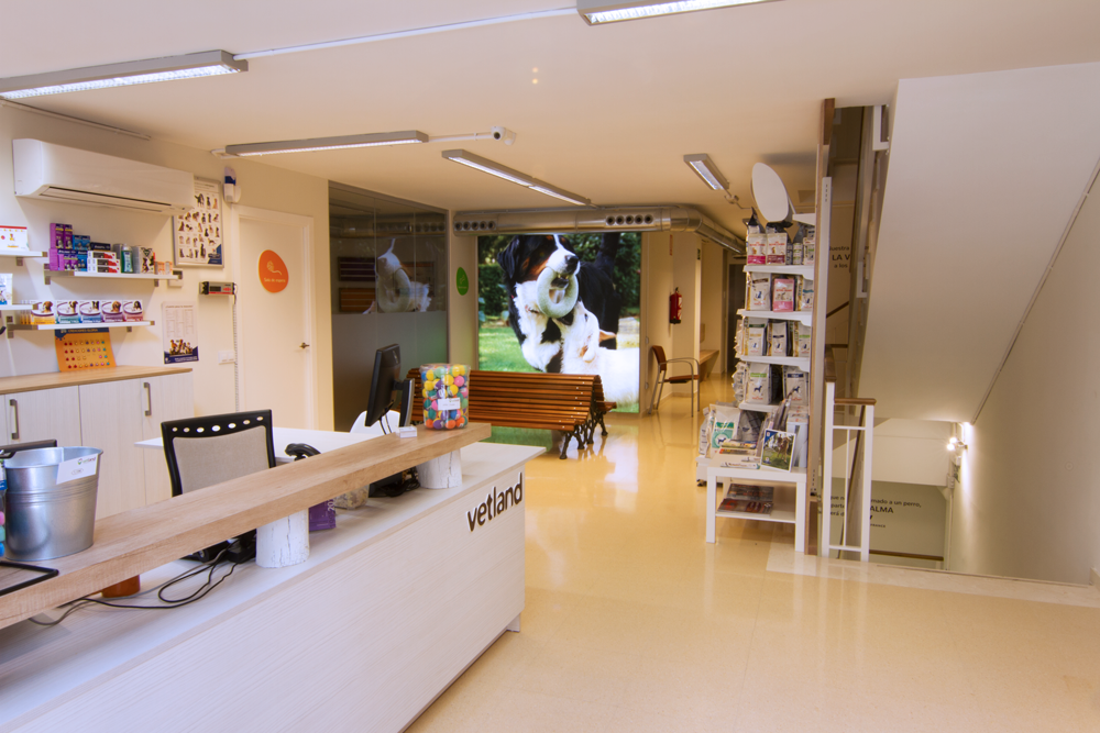 Clinica Veterinaria Vidavet Londres