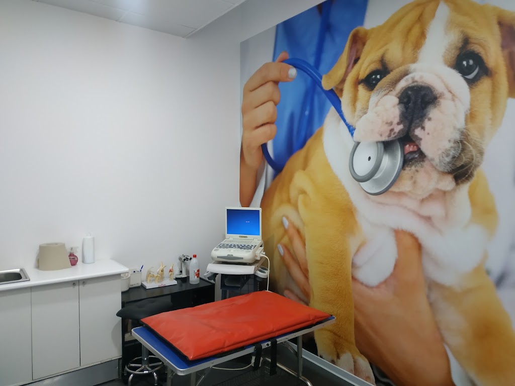 Clinica Veterinaria Cervantes | MiVet — Perro