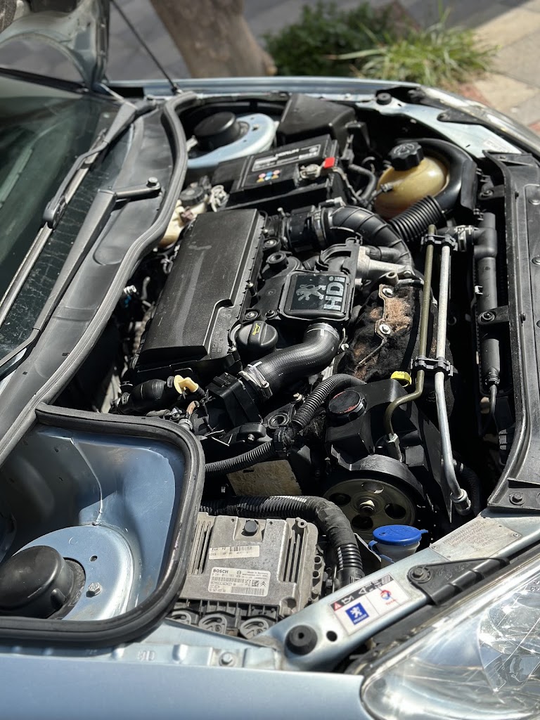 CelisMotor — Mas recientes