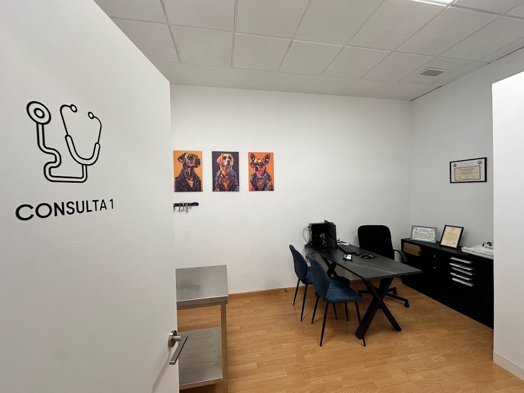 Panther Clinica Veterinaria