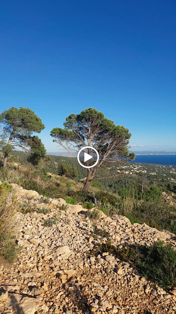 Antenas de Calvia. Palmanova — Videos