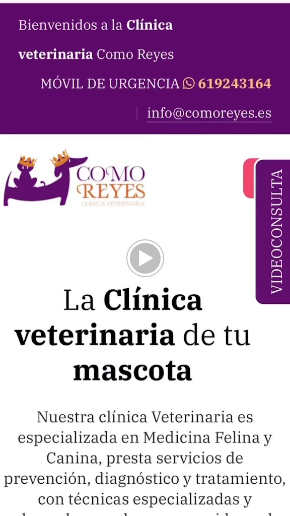 Clinica Veterinaria Como Reyes — Videos