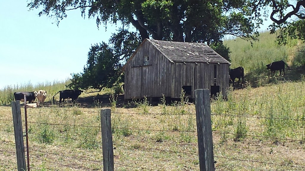 Field