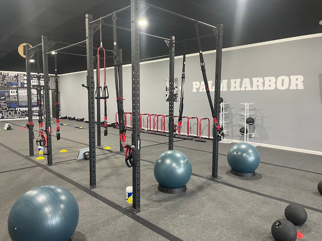  Fit Body Palm Harbor ( Boot Camp & Small Group Training)