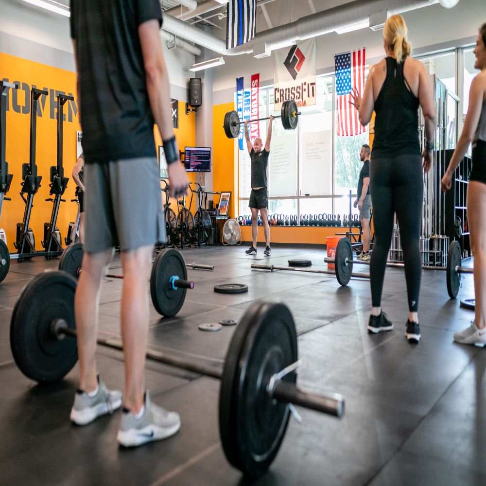  The Movement Training Day