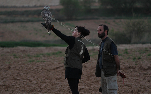 Nebli - Centro de Halcones