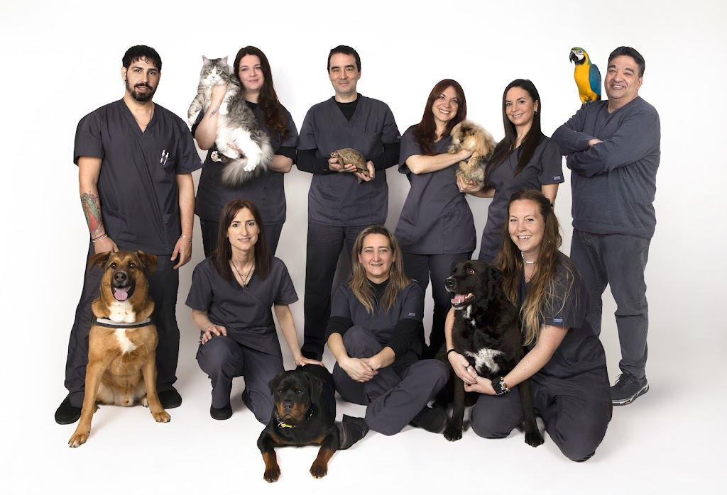 Zoologic Veterinaris