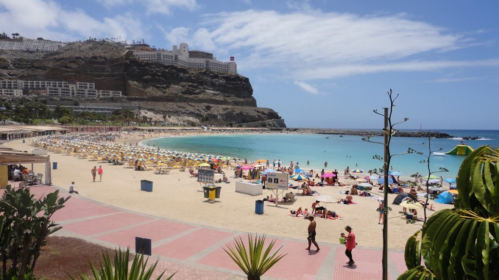 Policia Local de Mogan