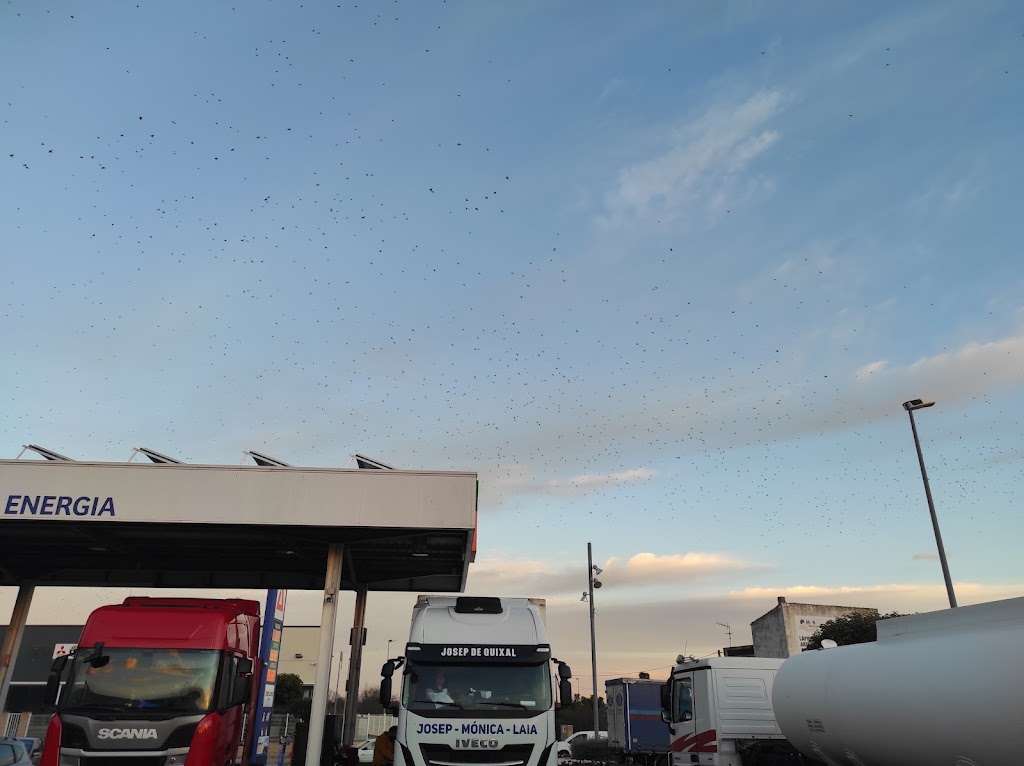 E.S. bonArea Amposta | Centre Agrari - Botiga