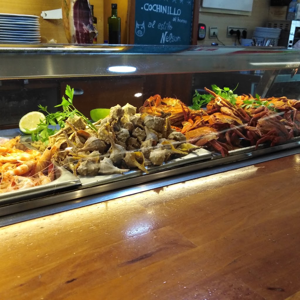 Nelson - Restaurante Cafeteria — Ambiente