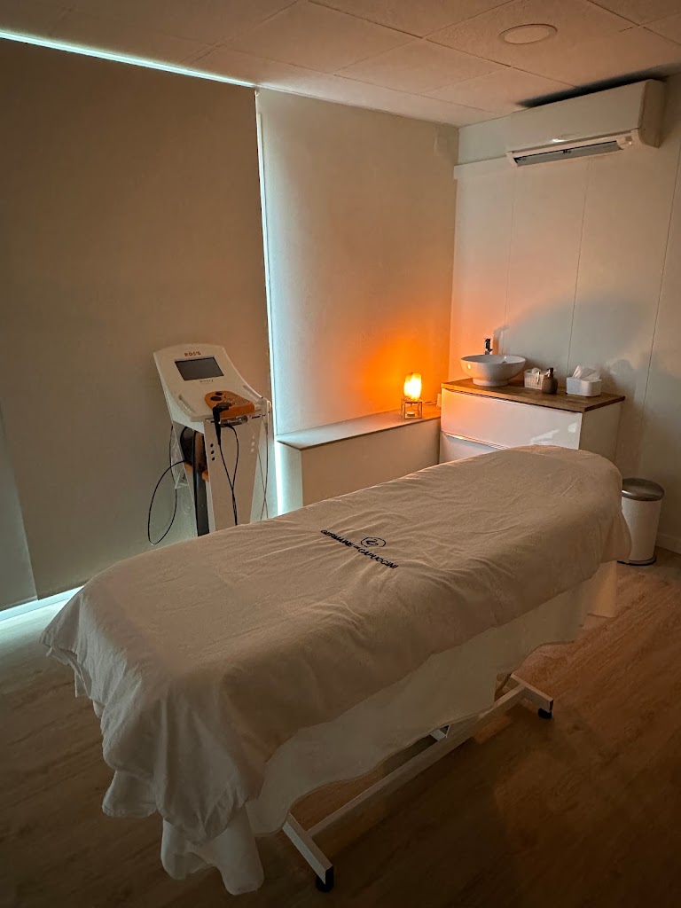 Minerva Institut De Bellesa