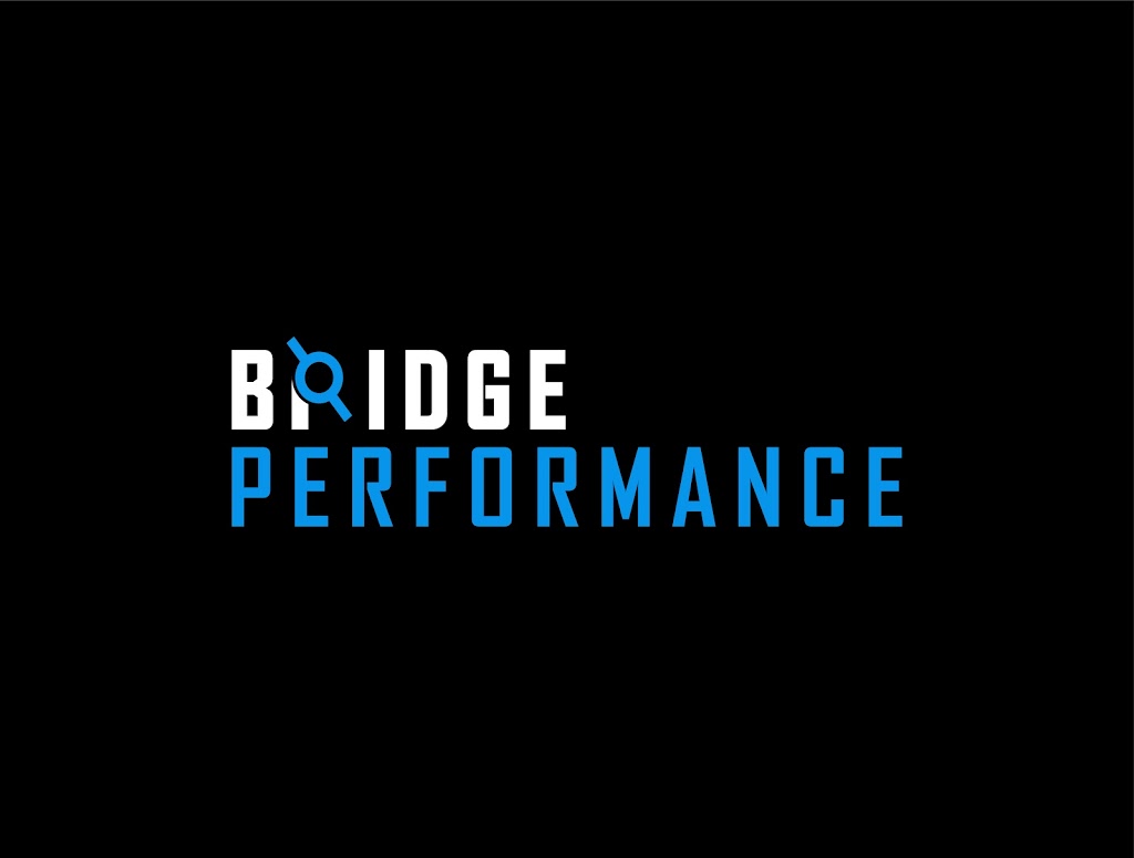  Bridge Performance