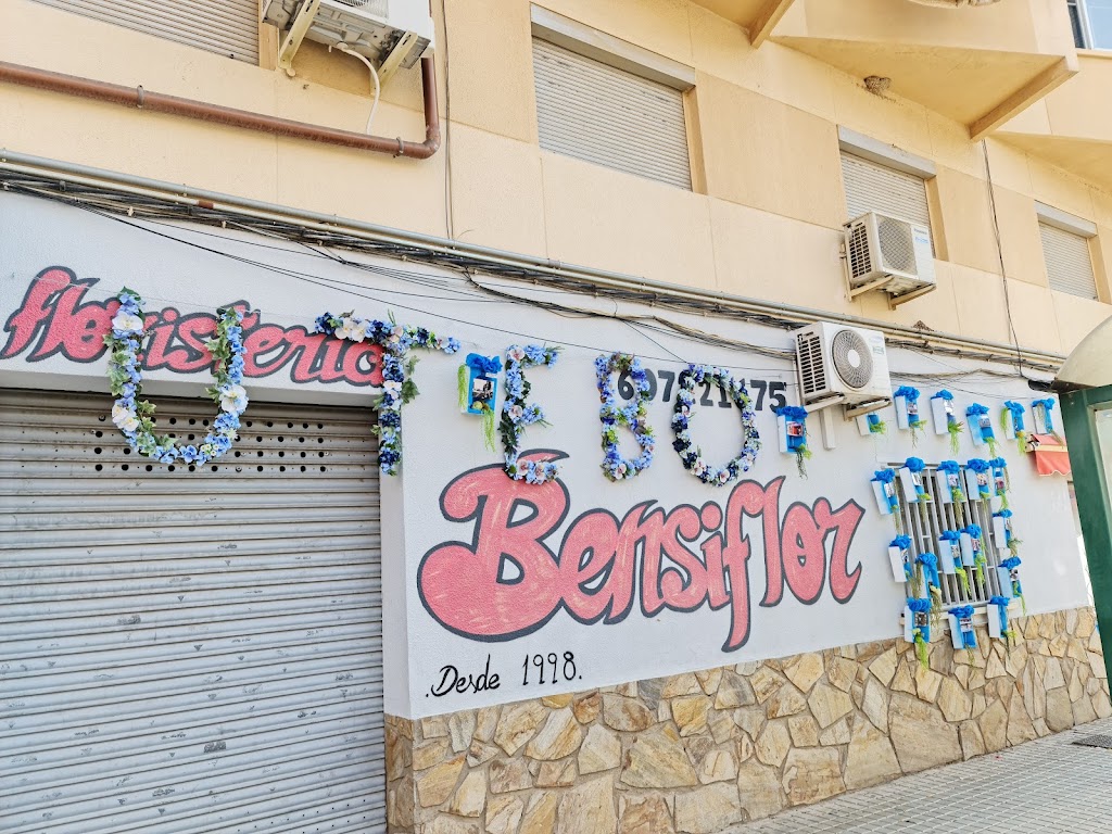 Bensiflor - Floristeria Utebo Zaragoza