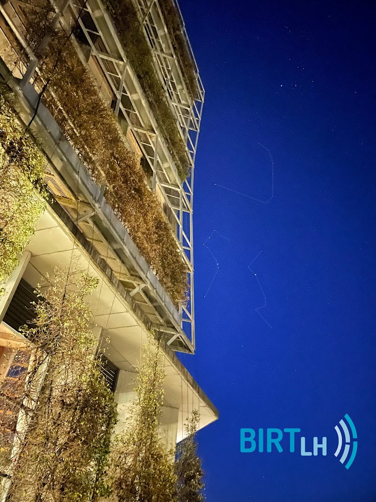 BIRTLH - CIFP DE APRENDIZAJES VIRTUALES Y DIGITALIZADOS