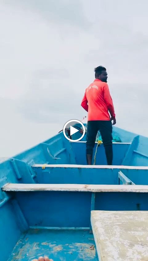 Videos