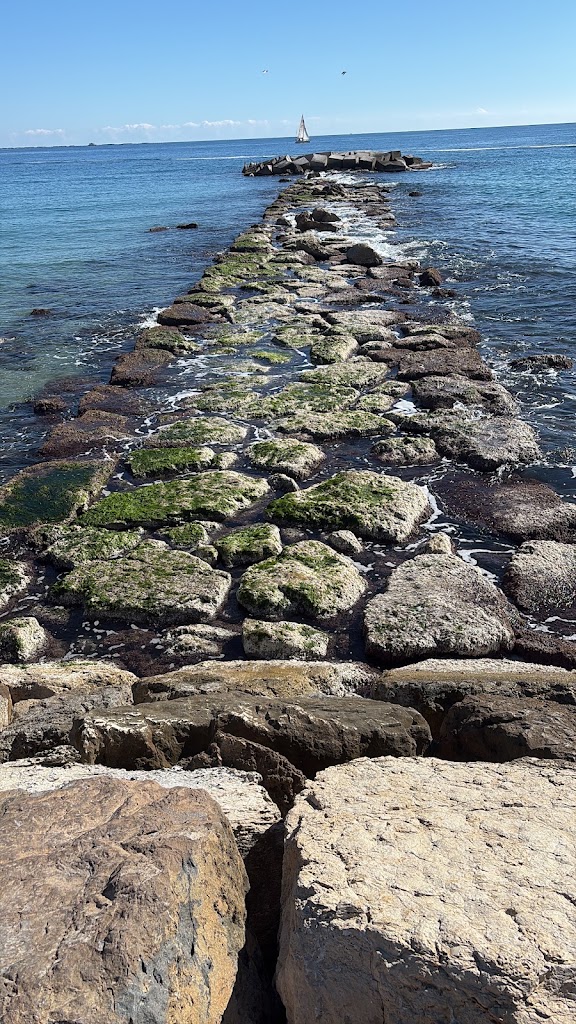 Espigo de La Vila Joiosa — Mas recientes