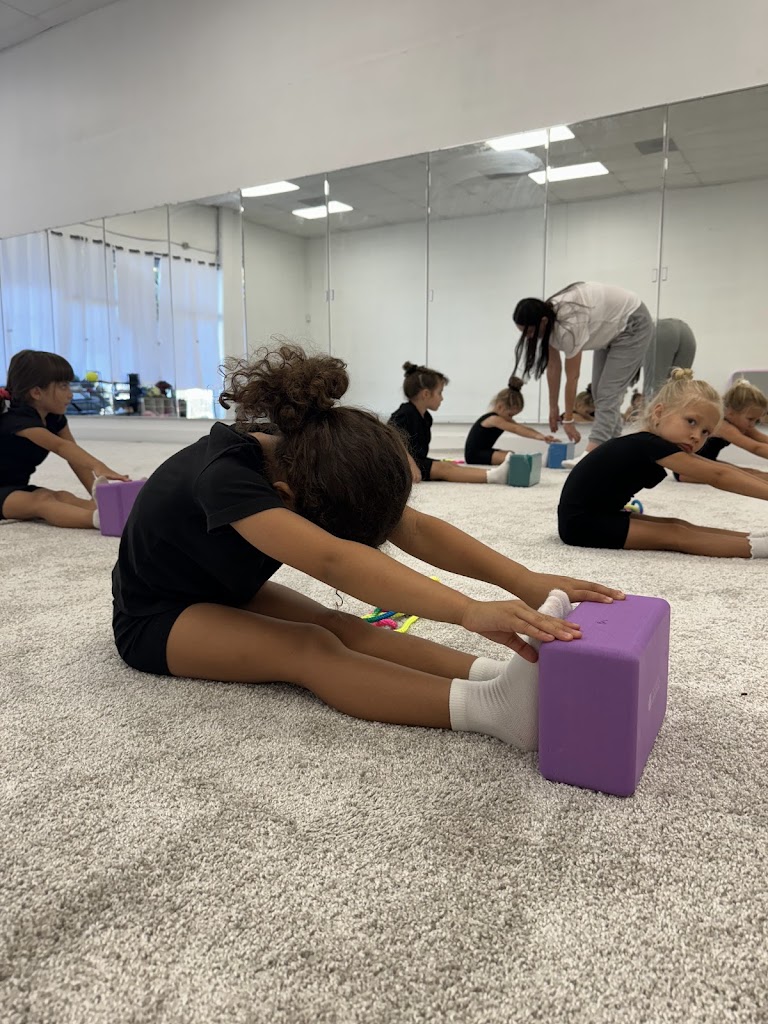  Perspective gymnastics